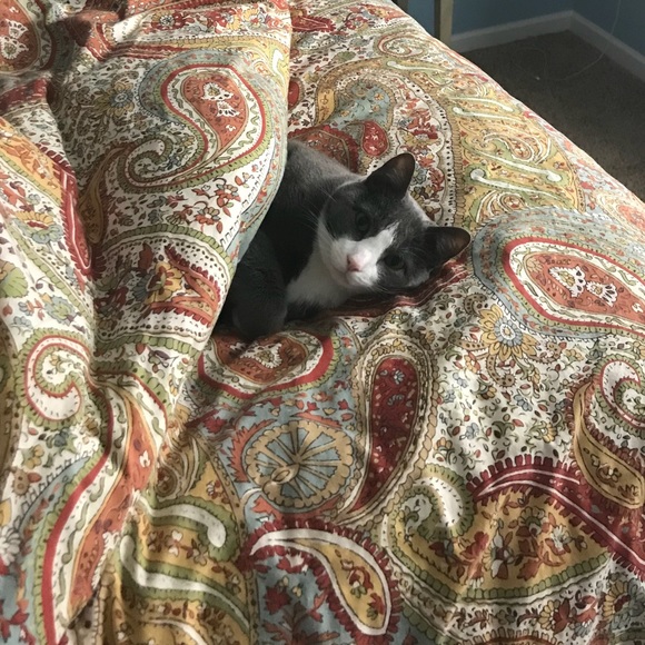 Meet your Posher, Dani - Picture 4 of 11